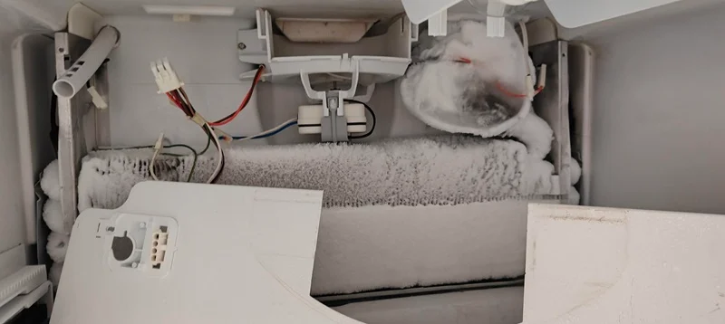 Professional Haier Refrigerator Repair